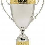 Gold Trimmed Silver Trophy Cup
