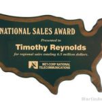 USA Shaped Plaque 1