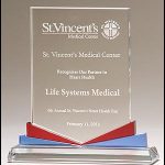 Spectrum Series glass award