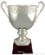 Trophy Cup – 17-3/4″ ARG 1000 Silver Plated 1