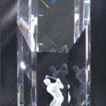 Crystal Glass Awards – 3″ x 8 1/2″ Genuine Prism Optical 1