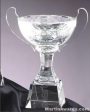 8 1/4″ x 10″ Genuine Glass Awards Cup With Base 1