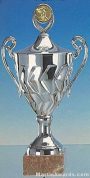 Silver Finish Trophy Cup On Marble Base 1