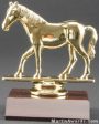 Quarter Horse Trophy 1