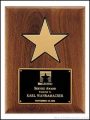 Plaque – American Walnut Plaque w/Star Casting 1