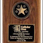Plaque W/Castings 1