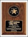 Plaque W/Castings 1