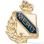 3/8″ Merit Award Pins 1