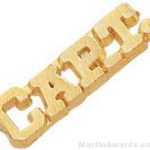 1 1/4″ Captain Chenille Letter Insert Pins 1