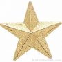 7/8″ Star Chenille Letter Insert Pins 1