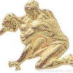 1 1/8″ Wrestling Chenille Letter Insert Pins 1