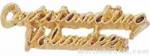 1 1/8″ Outstanding Volunteer Chenille Letter Insert Pins 1