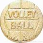 3/8″ SMALL VOLLEYBALL CHENILLE PIN 1
