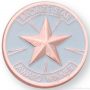 1″ Bronze Star Award Lapel Pin 1