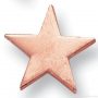 5/8″ Bronze Star Lapel Pin 1