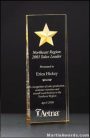 Acrylic Awards – Constellation Series Acrylic Award – Etched Star with Gold Paint Fill and Mirrored 1