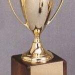 Trophy Cups – Gold Plated 1