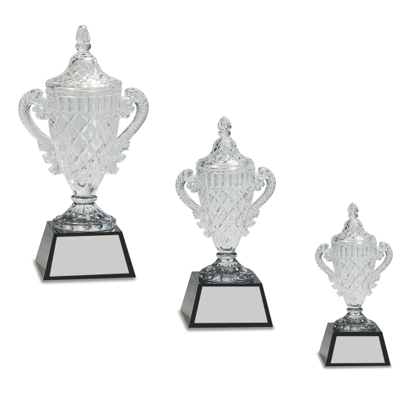 Crystal Trophy Cup on Black Base