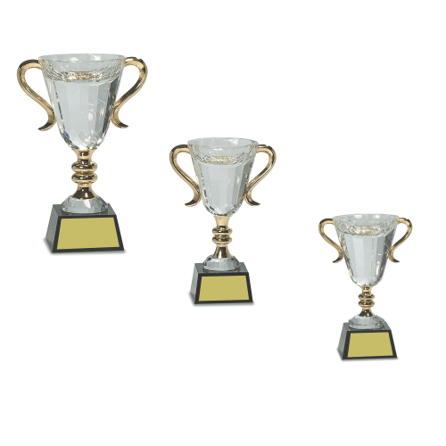 Crystal Trophy Cup on Black Base with gold handles