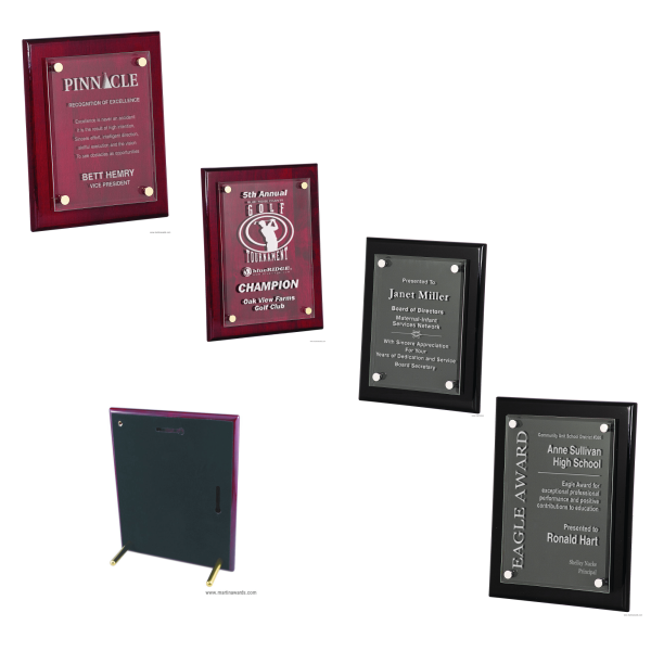 Piano Finish Floating Acrylic Awards
