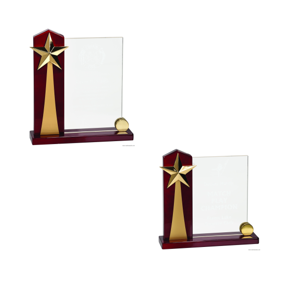 Rising Star Acrylic Award