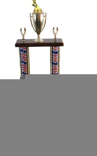22″-24″ 2 Column Chopper Trophies (selection of color of extrusion) 1