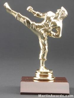 Female Karate Trophy 1