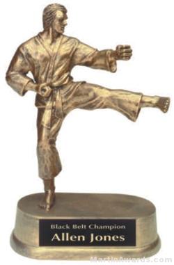 Male Karate Gold Resin Trophy 1