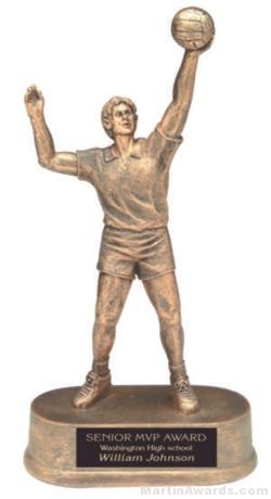 Male Volleyball Gold Resin Trophy 1