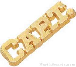 1 1/4″ Captain Chenille Letter Insert Pins 1