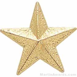7/8″ Star Chenille Letter Insert Pins 1