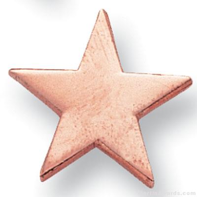 5/8″ Bronze Star Lapel Pin 1